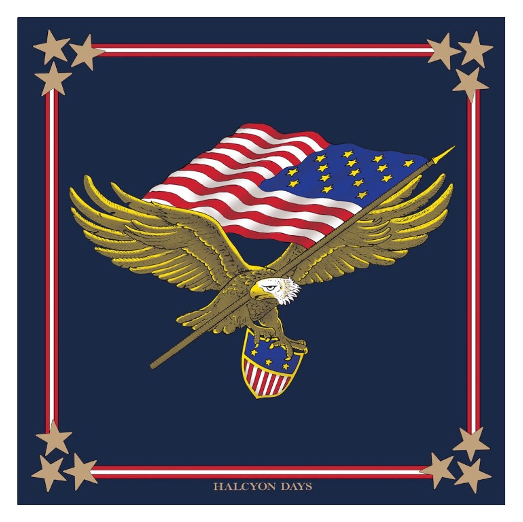 Star Spangled Banner Silk Scarf – HALCYON DAYS, image size:1764x1760