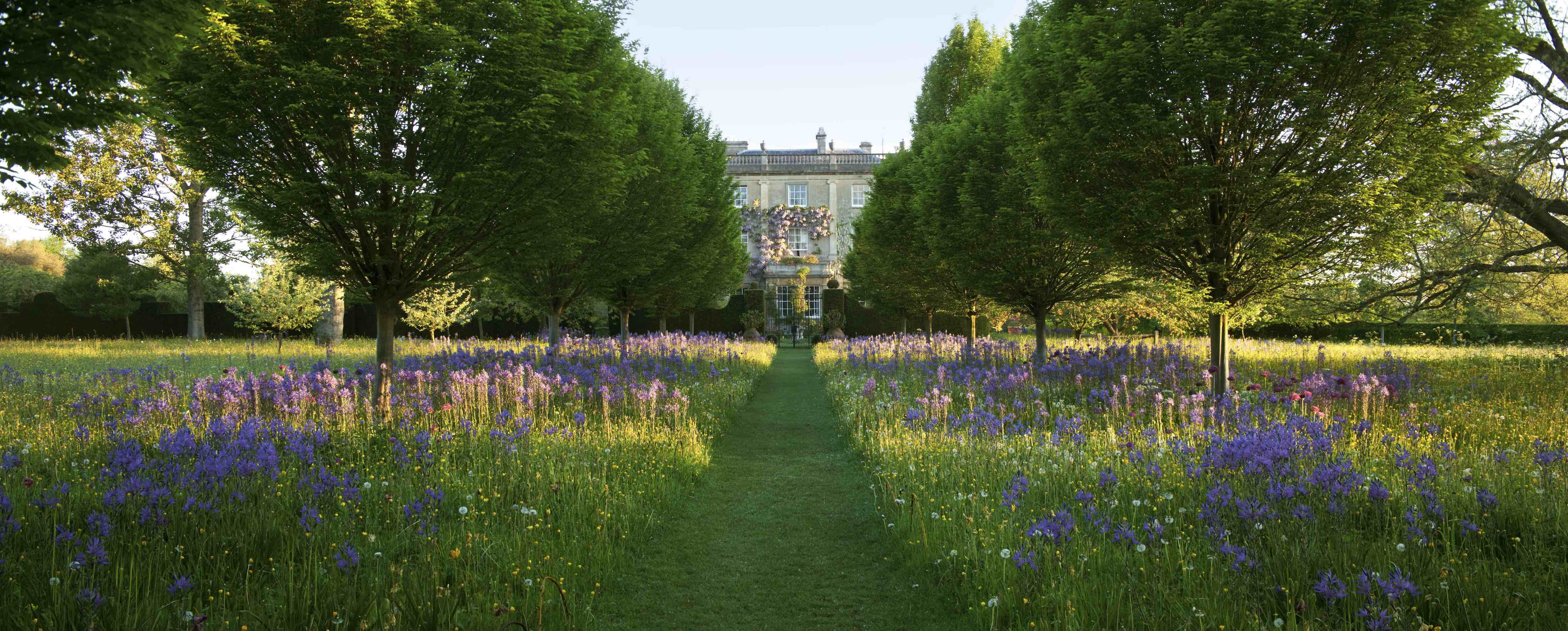 The Highgrove Wildflower Meadow Collection