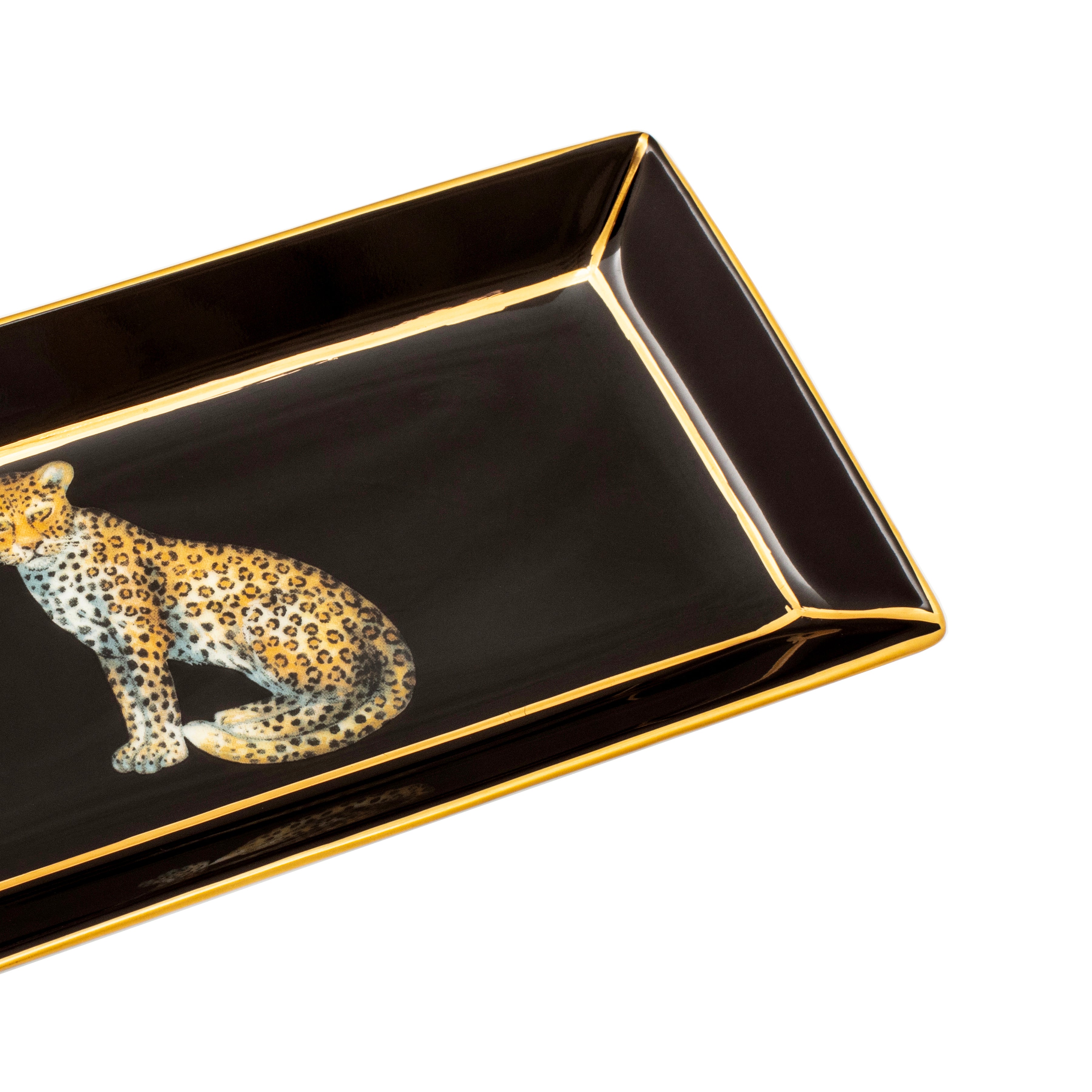 Magnificent Wildlife – HALCYON DAYS