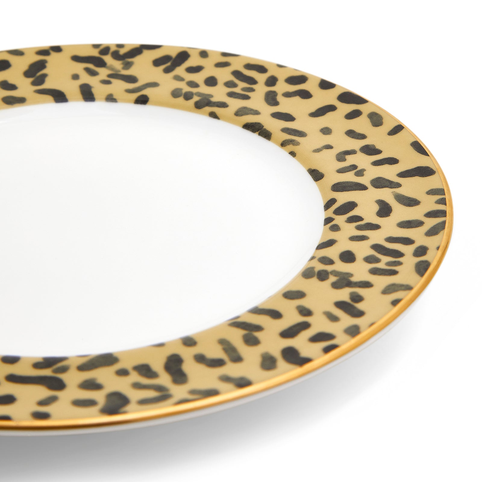 Leopard 6