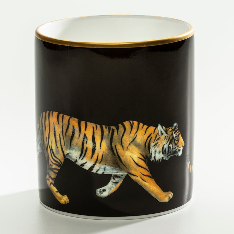 Magnificent Wildlife FBC – Halcyon Days